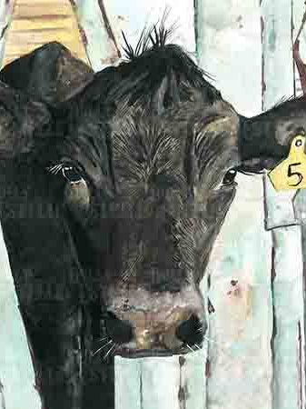 Close-up of a cow's face with a wooden fence in the background on a white tea towel.