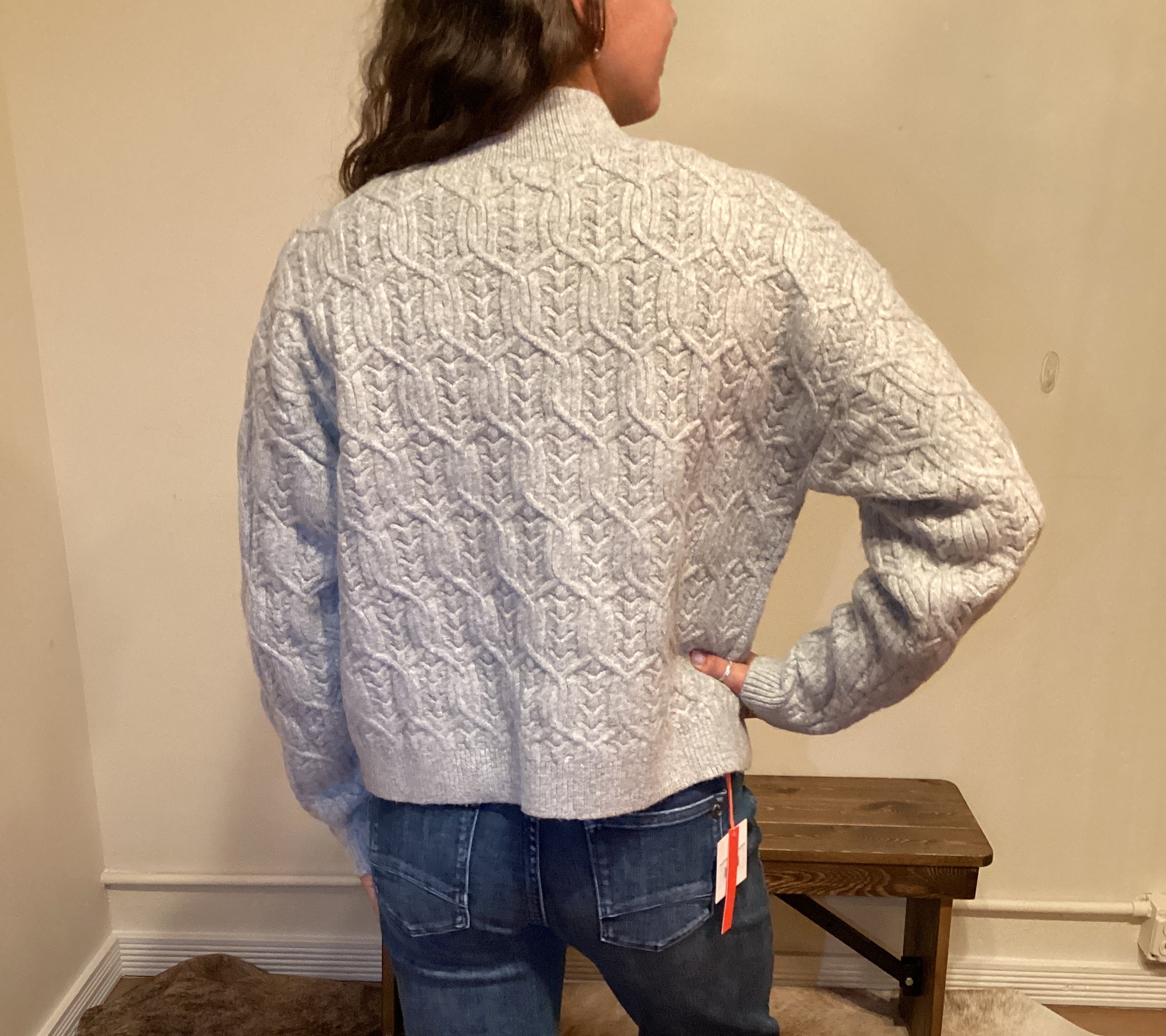 Person wearing a patterned sweater and jeans standing next to a large brown cat.