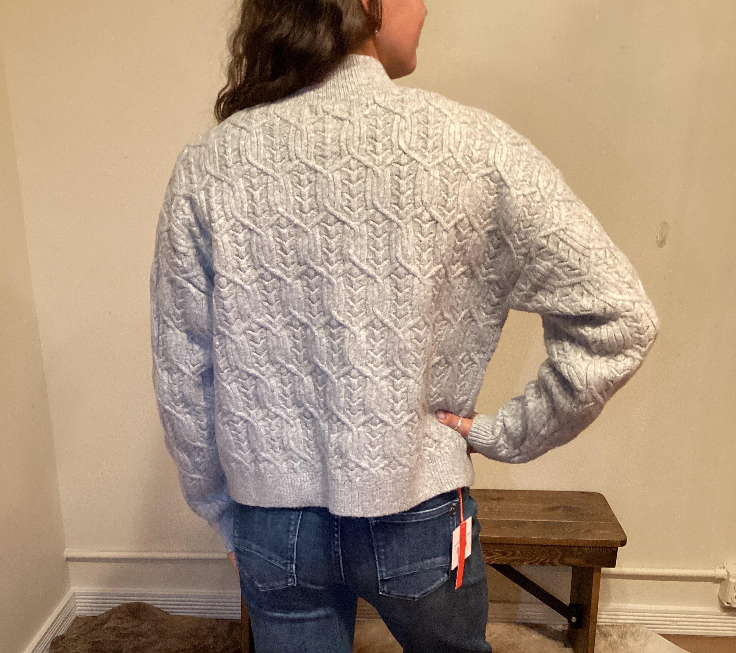 Person wearing a patterned sweater and jeans standing next to a large brown cat.