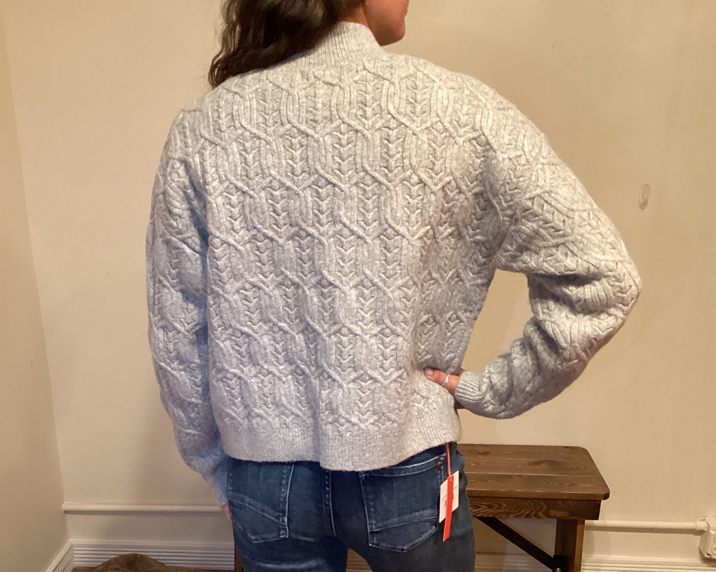 Person wearing a patterned sweater and jeans standing next to a large brown cat.