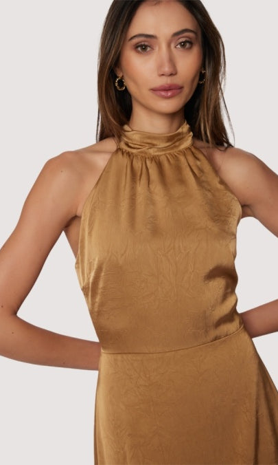 Starlit canopy maxi dress halter top to dress back slit in Brassy Gold