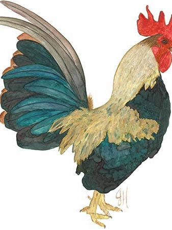 Colorful illustration of a rooster on a white tea towel.
