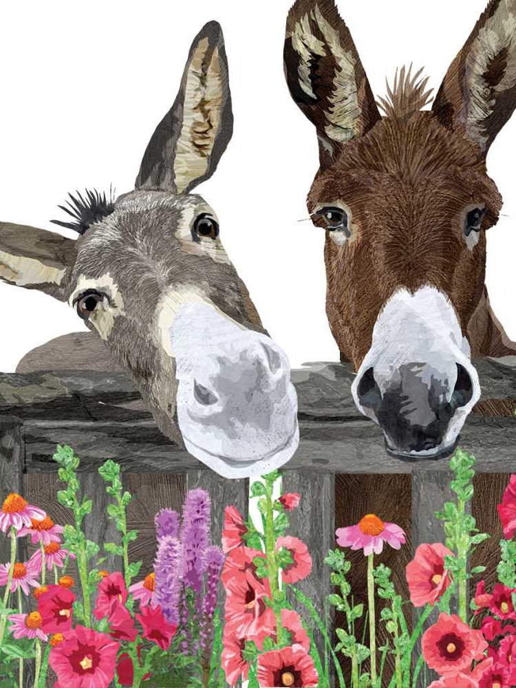 Two donkeys peering over a wooden fence with colorful flowers below