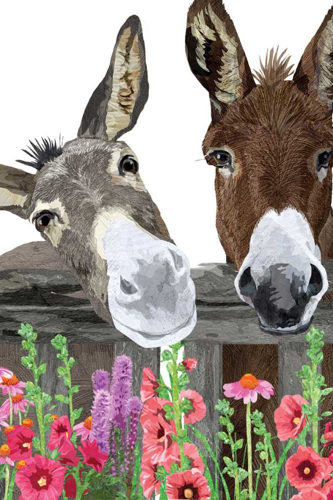 Two donkeys peering over a wooden fence with colorful flowers below