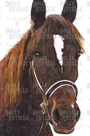 Close-up of a horse's head with a bridle on a white tea towel.