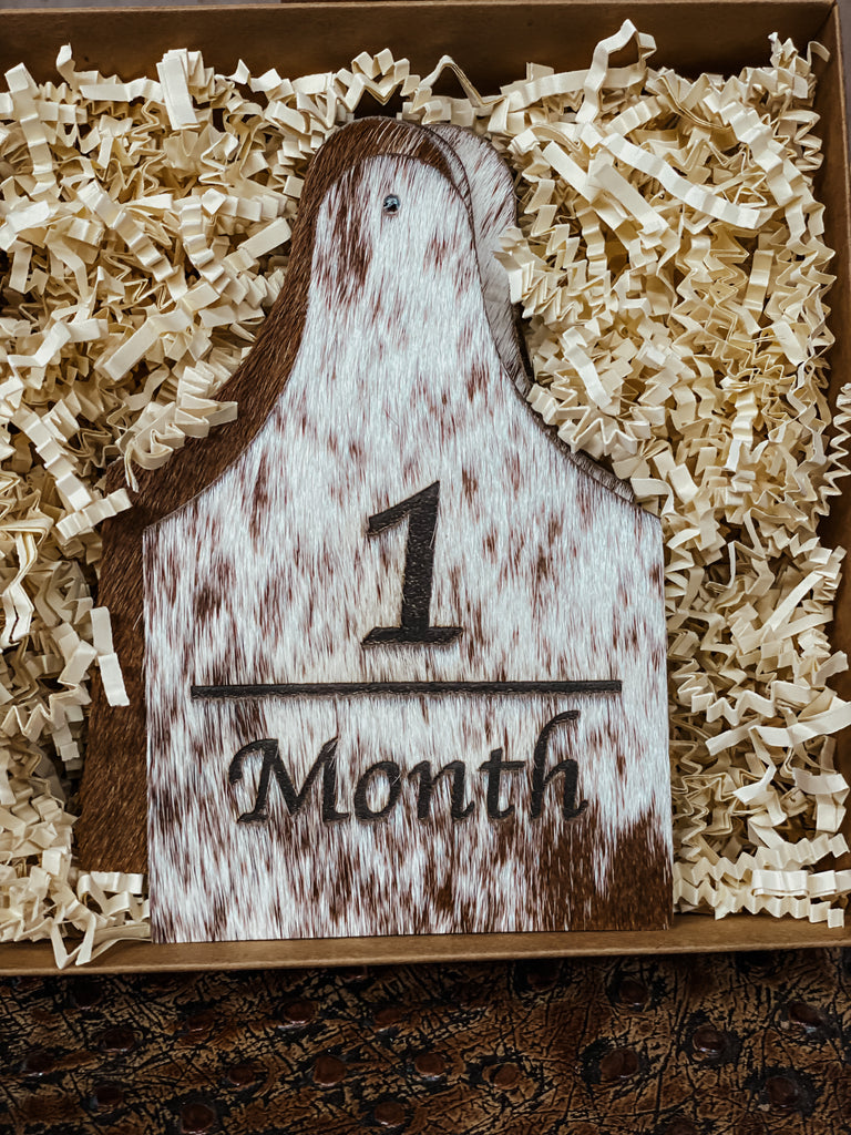Handcrafted Baby Monthly Milestone Markers