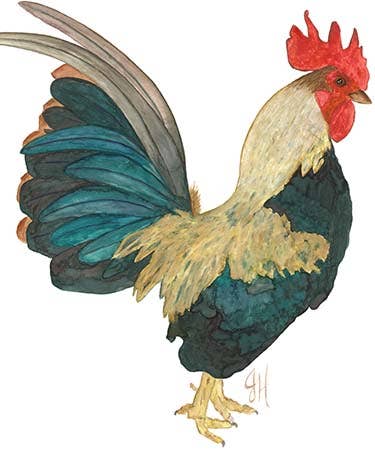 Colorful illustration of a rooster on a white tea towel.