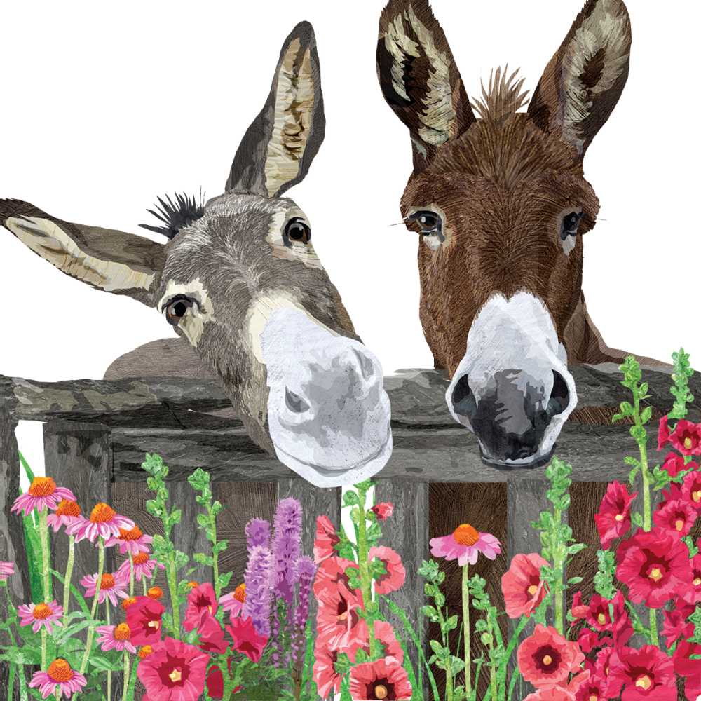 Two donkeys peering over a wooden fence with colorful flowers below