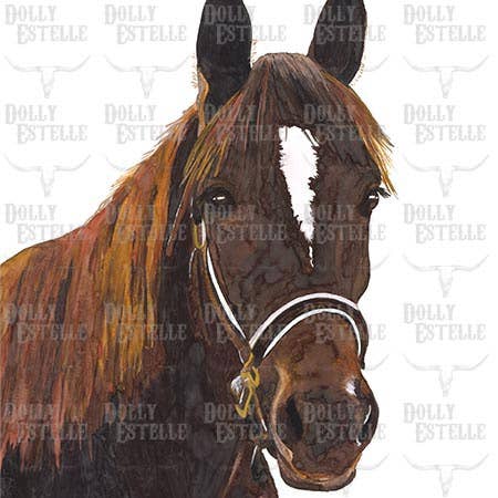 Close-up of a horse's head with a bridle on a white tea towel.